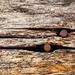 Weathered
