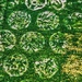 Green 20