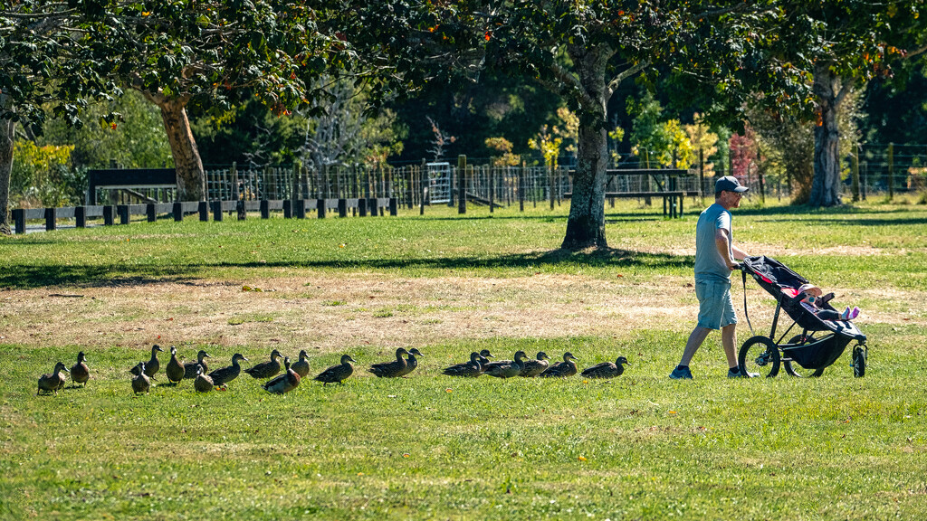 The Pied Piper by helenw2
