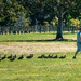 The Pied Piper