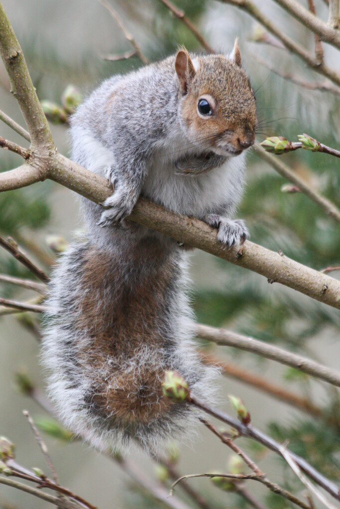 Butter wouldn't melt... by plebster