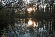 16th Mar 2025 - Calm