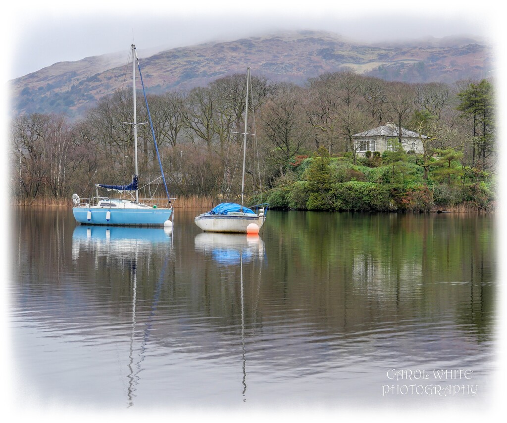 Tranquil Reflections by carolmw