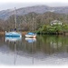 Tranquil Reflections