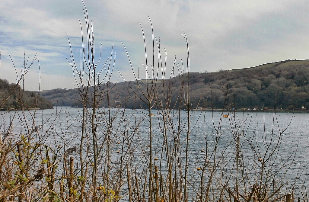 Fowey river estuary by cutekitty