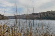 21st Mar 2025 - Fowey river estuary