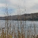 Fowey river estuary