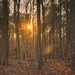 At sunset...