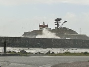 21st Mar 2025 - Blue and windy