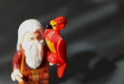 17th Mar 2025 - The week of Lego!