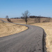 Up the country road by mittens