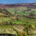 Farndale by craftymeg