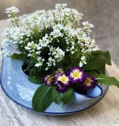 1st Mar 2025 - Is To Be Given a Bedpan