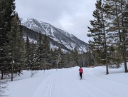 21st Mar 2025 - Ski in the woods