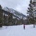 Ski in the woods