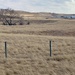 Rural scene