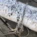 Weathered rope 