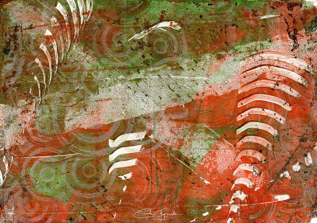 Geli Prints by yorkshirekiwi