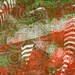 Geli Prints