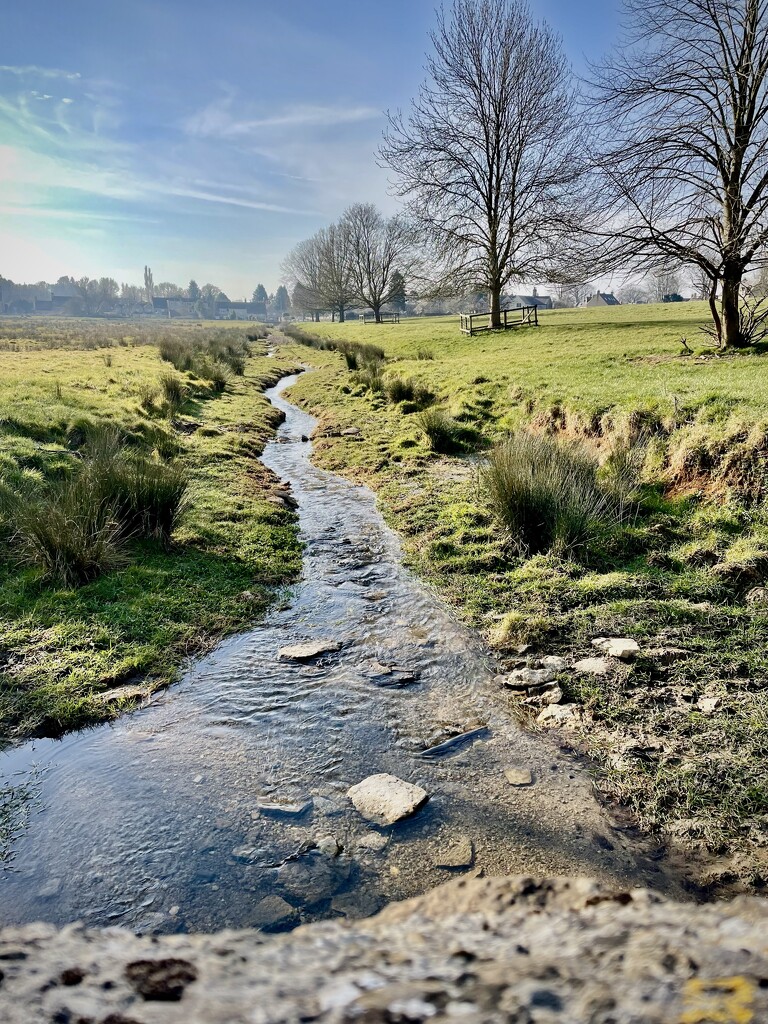 Local stream by nigelrogers
