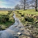 Local stream