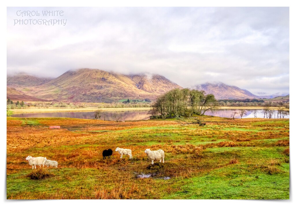 Loch Awe,Scotland by carolmw