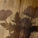 Shadows that caught my eye.