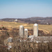 A country scene by mittens