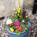 Spring is springing!
