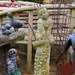 Collecting the garden ornaments together