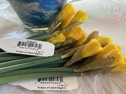 22nd Mar 2025 - Check where these came from…