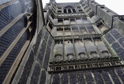 22nd Mar 2025 - Look Up