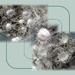 Micro/macro  wander #6