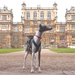 Lady Of The Manor 