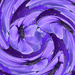 Purple 3