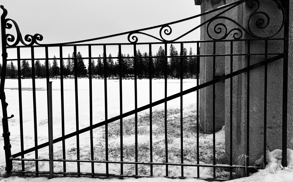 Wrought Iron Gate by ikik