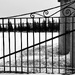 Wrought Iron Gate