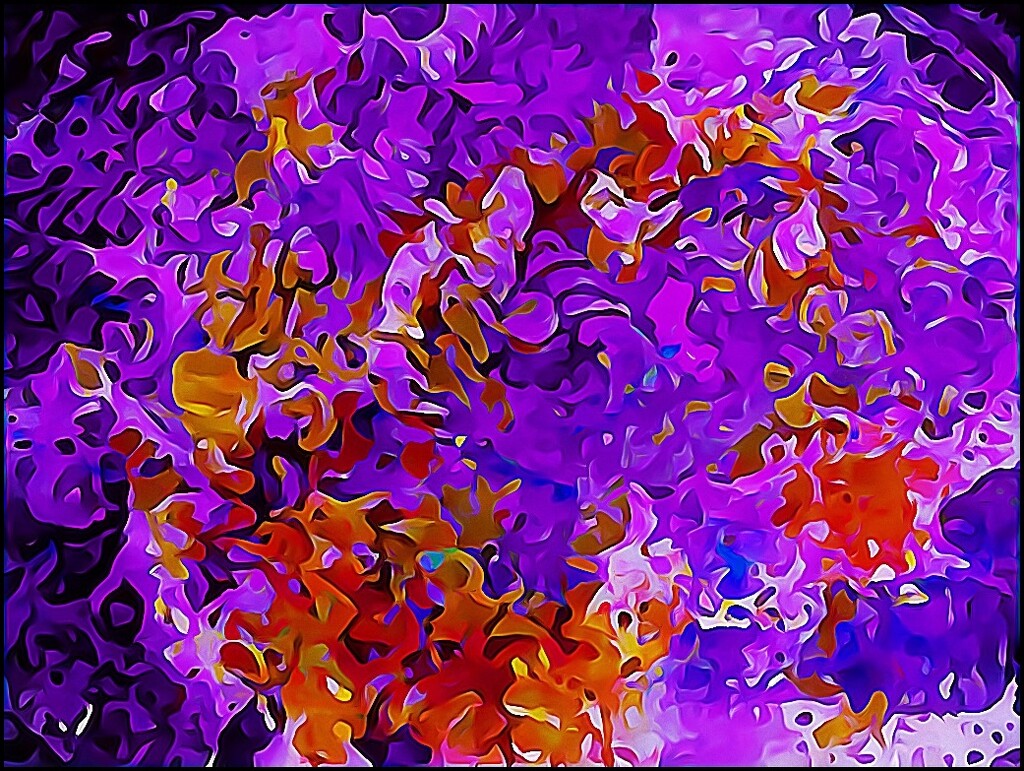 Rainbow Foolery 22 by olivetreeann