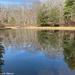 Spring Reflections