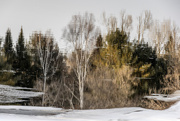 22nd Mar 2025 - Winter Reflections