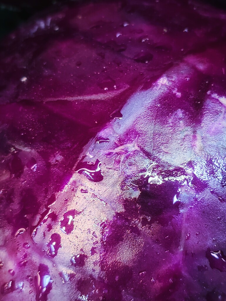 Purple 22 by edorreandresen