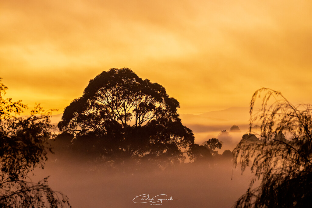 Misty Sunrise by yorkshirekiwi