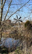 23rd Mar 2025 - IMG_6013
