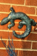 23rd Mar 2025 - Gecko