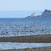 Puget Sound by seattlite