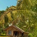 Island Home