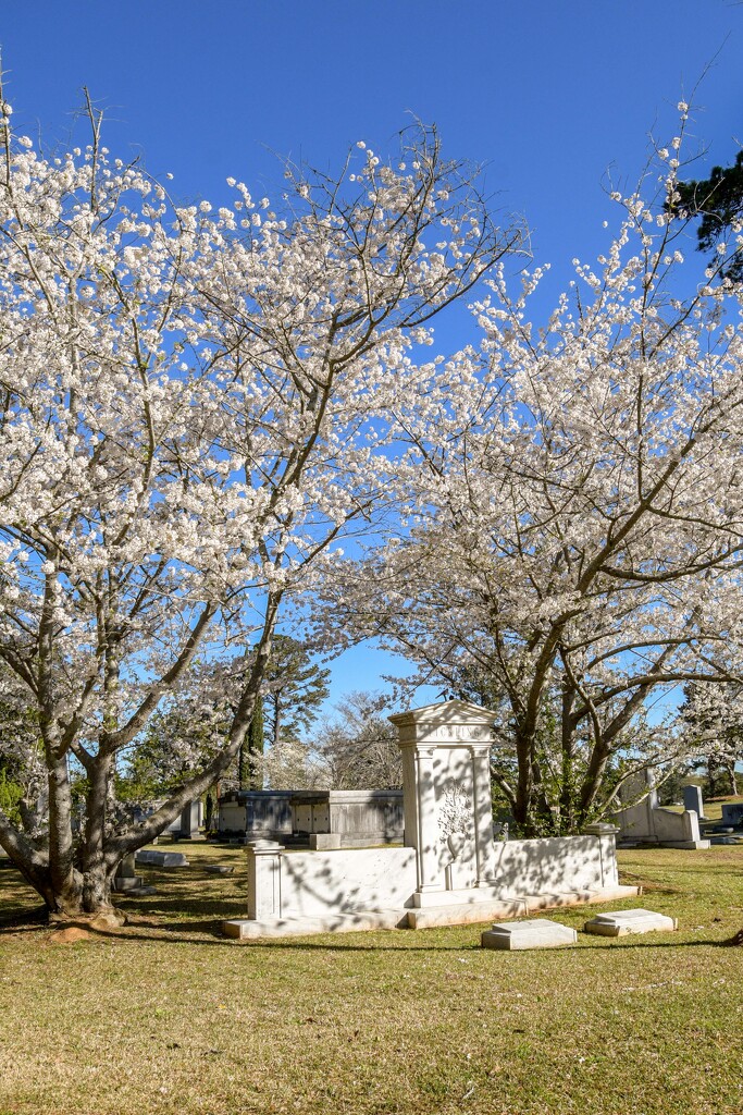 Cemetery by danette