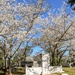 Cemetery