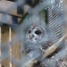 Owl through a fence