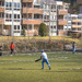 Cricket